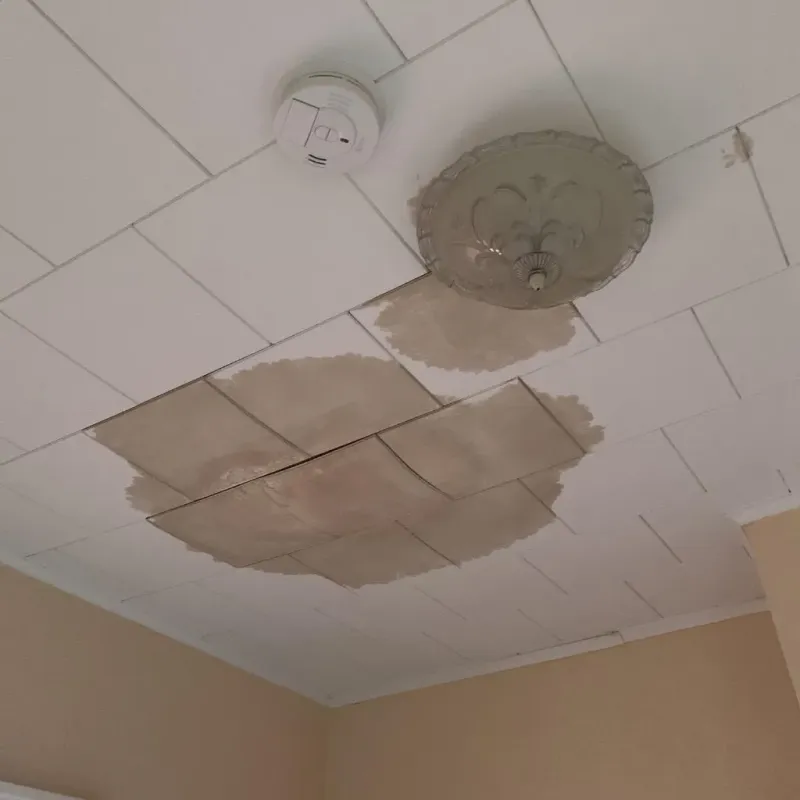 Ceiling Water Damage Repair in Oreland, PA